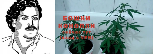 гидропоника Балахна
